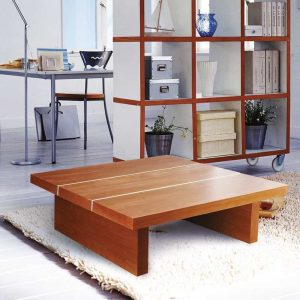 Klub stočić "ONIX"