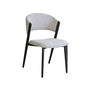 Trpezarijska stolica B2666 Svetlo siva